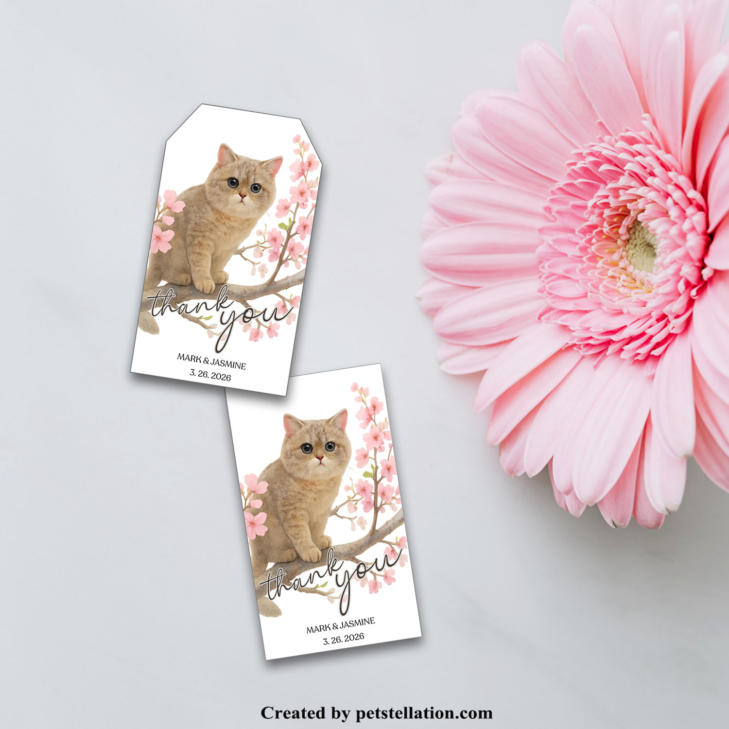 Transparent Curious Sakura Cat Tags – Watercolor Cherry Blossom Gift Tag Template | Editable Canva Party Labels