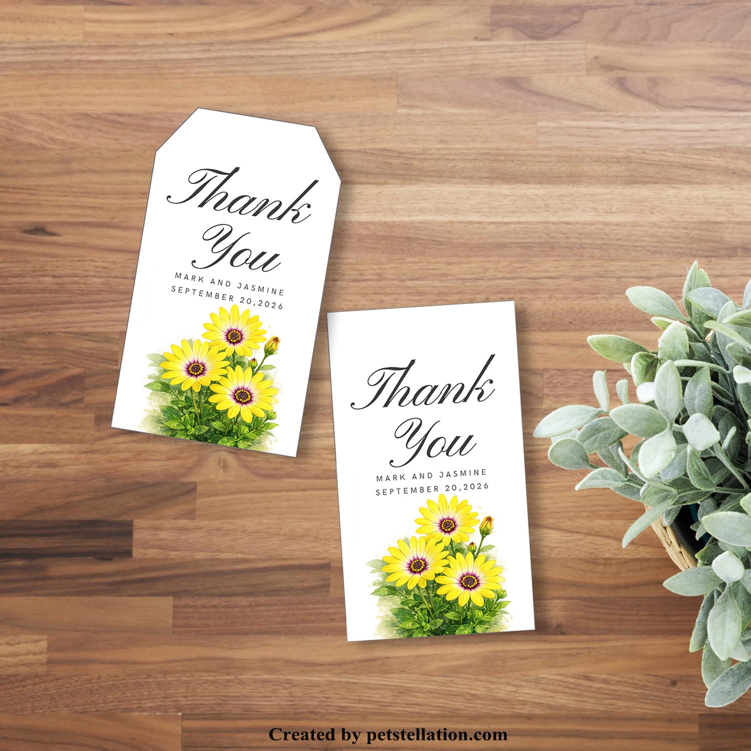 Masculine Botanical Thank You Tag | Modern Yellow African Daisy Gift Tag Template | Aesthetic Yellow Daisy Bookmark Printable | Graduation Floral Editable Canva Label for Congrats Gifts & Party Favors