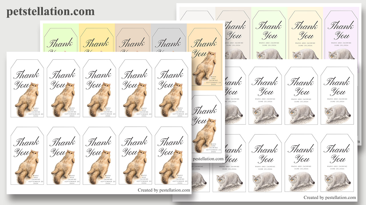 Funny cat Father's Day Canva gift tag template