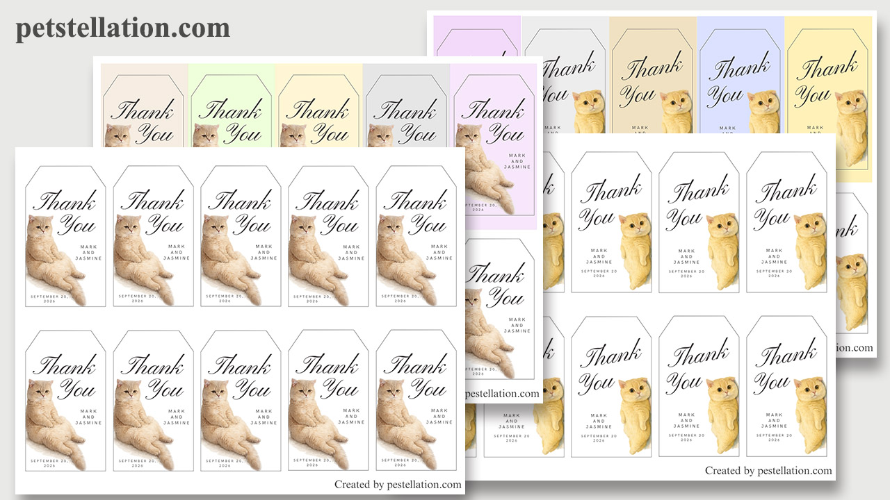 Chaotic funny watercolor cat printable gift tag