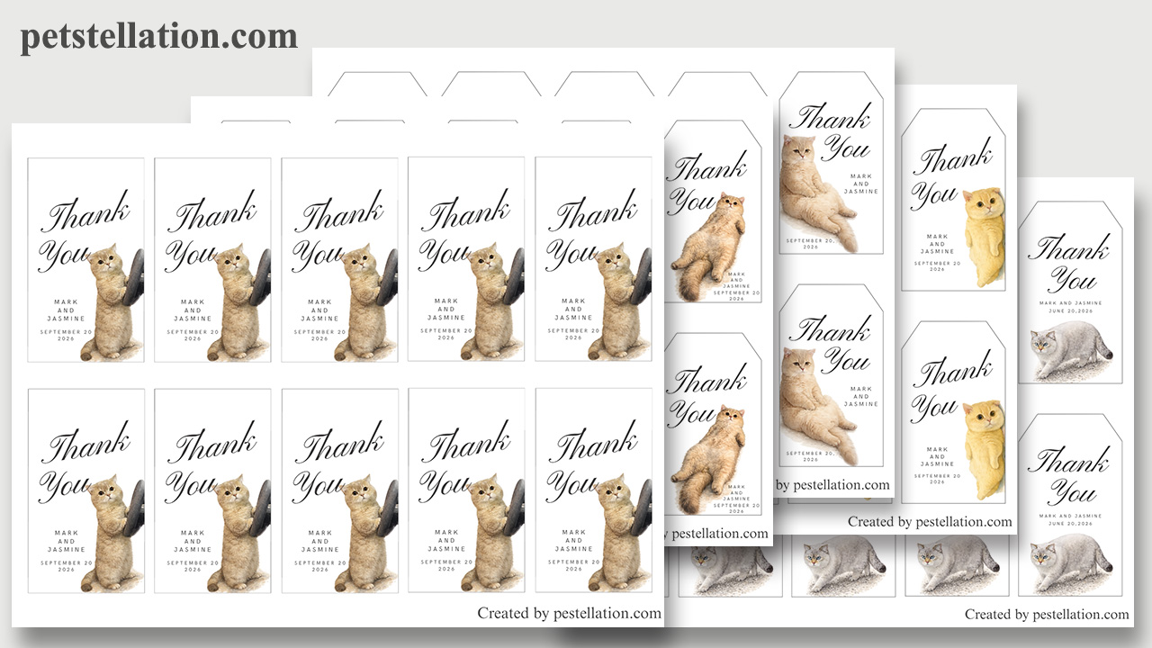 Funny cat gift packaging with watercolor meme cat Canva gift tags