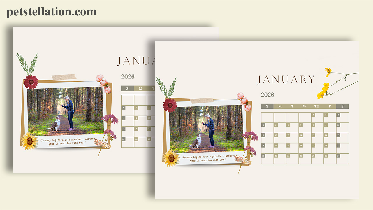 custom pet photo calendar template Los Angeles gift idea